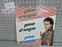 Pino d'angio