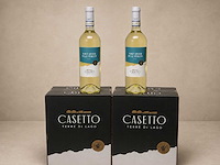 Pinot grigio delle venezie (18x) - afbeelding 1 van  3