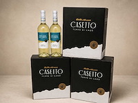Pinot grigio delle venezie (18x) - afbeelding 1 van  2
