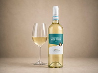 Pinot grigio delle venezie (18x) - afbeelding 2 van  2