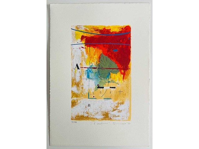 Piotr konkl - b leaf - kleurenzeefdruk - lage instelprijs - afbeelding 8 van  14