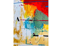 Piotr konkl - b leaf - kleurenzeefdruk - lage instelprijs - afbeelding 12 van  14