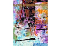 Piotr konkl - home collective - kleurenzeefdruk - afbeelding 5 van  7