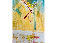 Piotr konkl - the hearts - kleurenzeefdruk - lage instelprijs - afbeelding 8 van  8