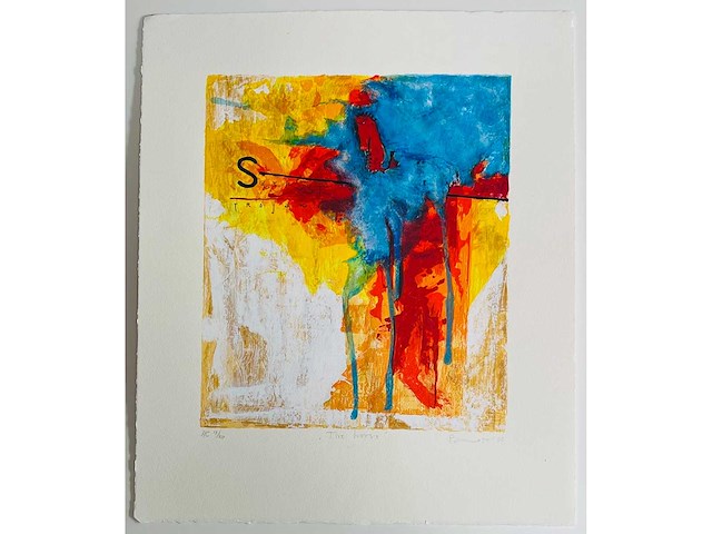 Piotr konkl - trojan horse - kleurenzeefdruk - afbeelding 4 van  8