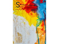 Piotr konkl - trojan horse - kleurenzeefdruk - afbeelding 5 van  8