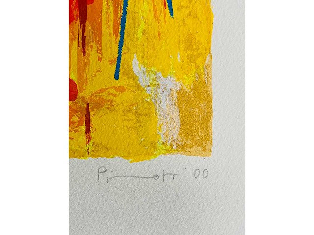 Piotr konkl - union - kleurenzeefdruk - afbeelding 9 van  9