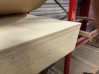 Plaat populier (47x) - afbeelding 3 van  3