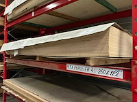 Plaat populier (55x) - afbeelding 1 van  2