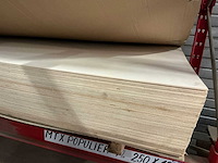 Plaat populier (55x) - afbeelding 2 van  2