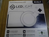 Plafondlampen (10x)