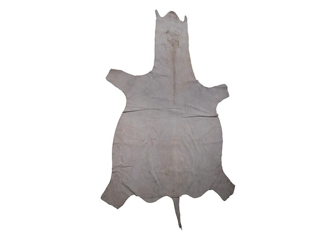 Plains zebra (equus quagga, formerly equus burchellii) hide rug 190 x 295 cm. (74.79 x 116.14 in.) - afbeelding 2 van  4