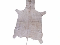 Plains zebra (equus quagga, formerly equus burchellii) hide rug 270 x 160 cm. (106.29 x 62.99 in.) - afbeelding 2 van  3