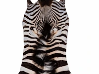 Plains zebra (equus quagga, formerly equus burchellii) hide rug 270 x 160 cm. (106.29 x 62.99 in.) - afbeelding 3 van  3