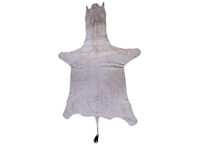 Plains zebra (equus quagga, formerly equus burchellii) hide rug 315 x 185 cm. (124.01 x 72.82 in.) - afbeelding 2 van  4