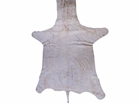 Plains zebra (equus quagga, formerly equus burchellii) hide rug 315 x 185 cm. (124.01 x 72.82 in.) - afbeelding 2 van  4