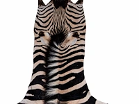 Plains zebra (equus quagga, formerly equus burchellii) hide rug 315 x 185 cm. (124.01 x 72.82 in.) - afbeelding 3 van  4