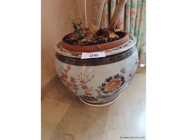 Plant in pot - afbeelding 1 van  3