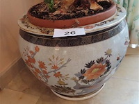 Plant in pot - afbeelding 1 van  3