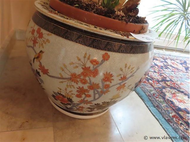 Plant in pot - afbeelding 3 van  3