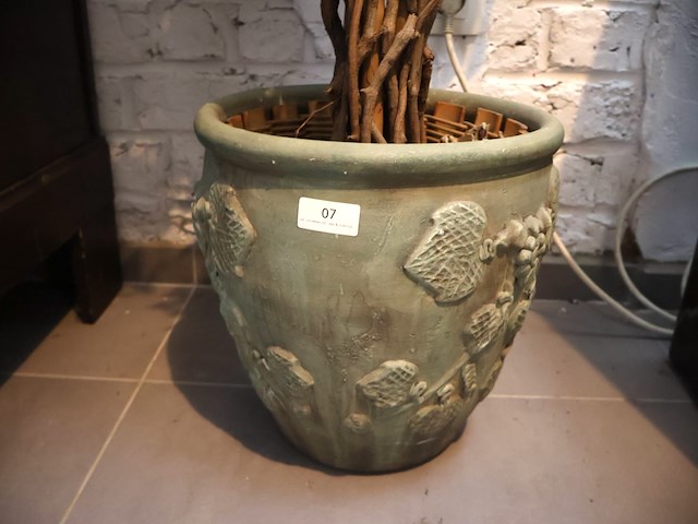 Plant in pot - afbeelding 2 van  5