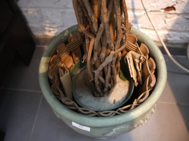 Plant in pot - afbeelding 5 van  5