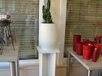 Plant met zuil en 2 ardewerk bloempotten - afbeelding 1 van  4