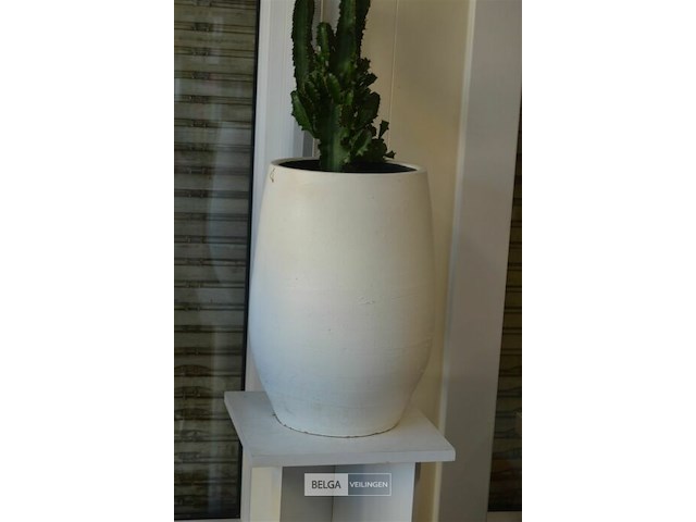 Plant met zuil en 2 ardewerk bloempotten - afbeelding 3 van  4