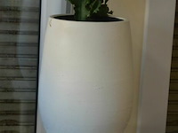 Plant met zuil en 2 ardewerk bloempotten - afbeelding 3 van  4