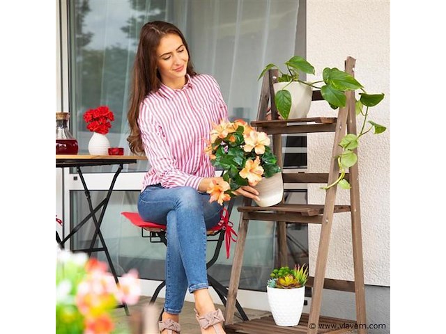 Planten etagére - afbeelding 3 van  6