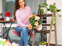 Planten etagére - afbeelding 3 van  6