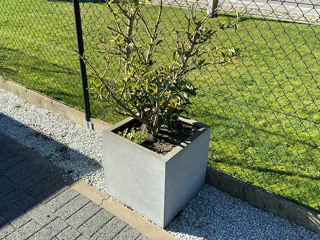 Planten met pot (4x) - afbeelding 3 van  4