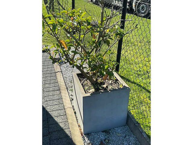 Planten met pot (4x) - afbeelding 4 van  4