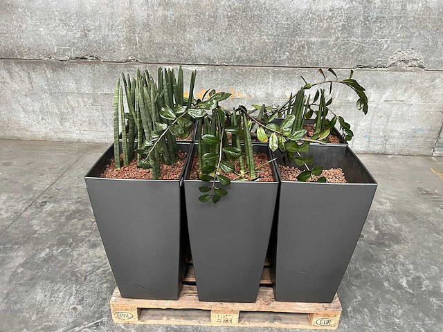 Plantenbak (6x) - afbeelding 1 van  2