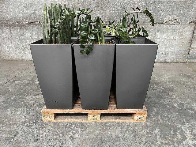 Plantenbak (6x) - afbeelding 2 van  2