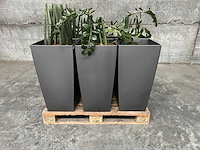 Plantenbak (6x) - afbeelding 2 van  2