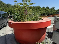 Plantenbak afm ± ø235cm x h110 - afbeelding 3 van  7