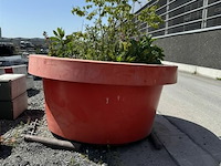 Plantenbak afm ± ø235cm x h110 - afbeelding 5 van  7