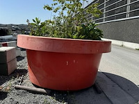 Plantenbak afm ± ø235cm x h110 - afbeelding 6 van  7