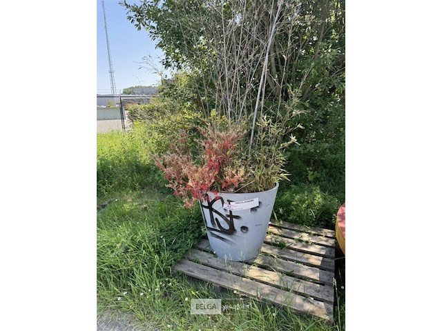Plantenbak am ± 60x55 - afbeelding 2 van  7
