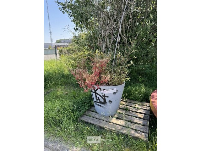 Plantenbak am ± 60x55 - afbeelding 3 van  7