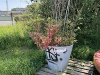 Plantenbak am ± 60x55 - afbeelding 4 van  7