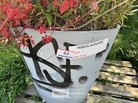 Plantenbak am ± 60x55 - afbeelding 5 van  7