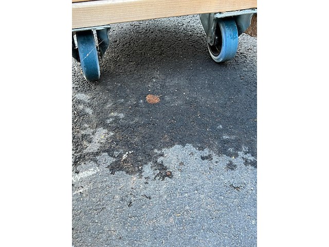 Plantenbak,… verrijdbaar - afbeelding 3 van  4