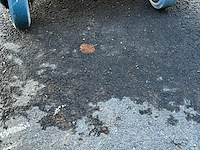 Plantenbak,… verrijdbaar - afbeelding 3 van  4