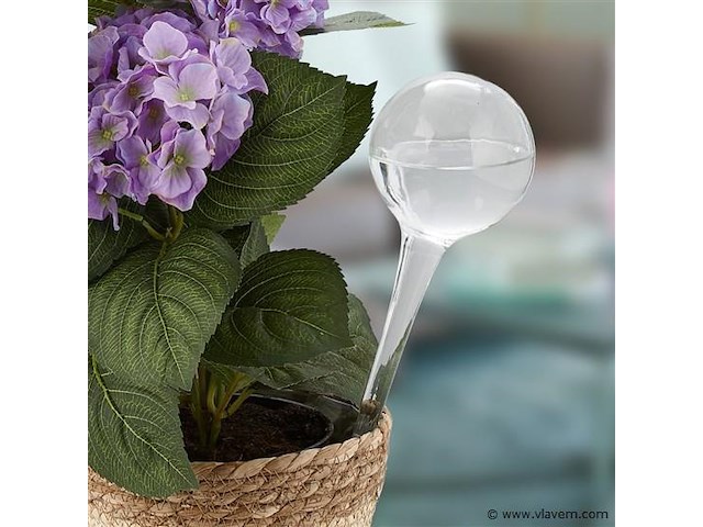 Plantendruppelaars - afbeelding 3 van  5
