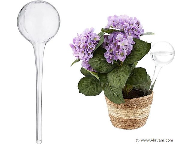 Plantendruppelaars - afbeelding 2 van  5