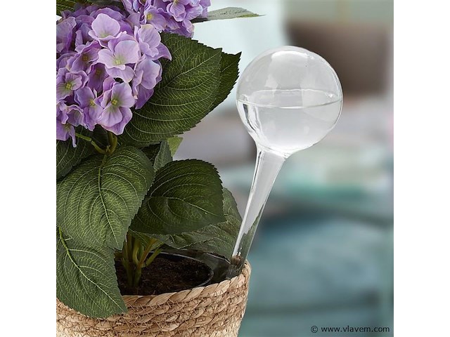 Plantendruppelaars - afbeelding 3 van  5