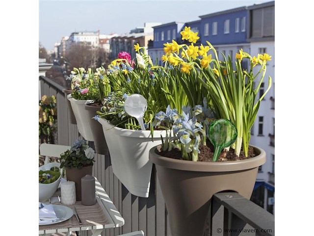 Plantendruppelaars - afbeelding 5 van  5