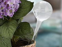 Plantendruppelaars - afbeelding 3 van  5
